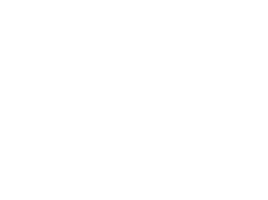 1955